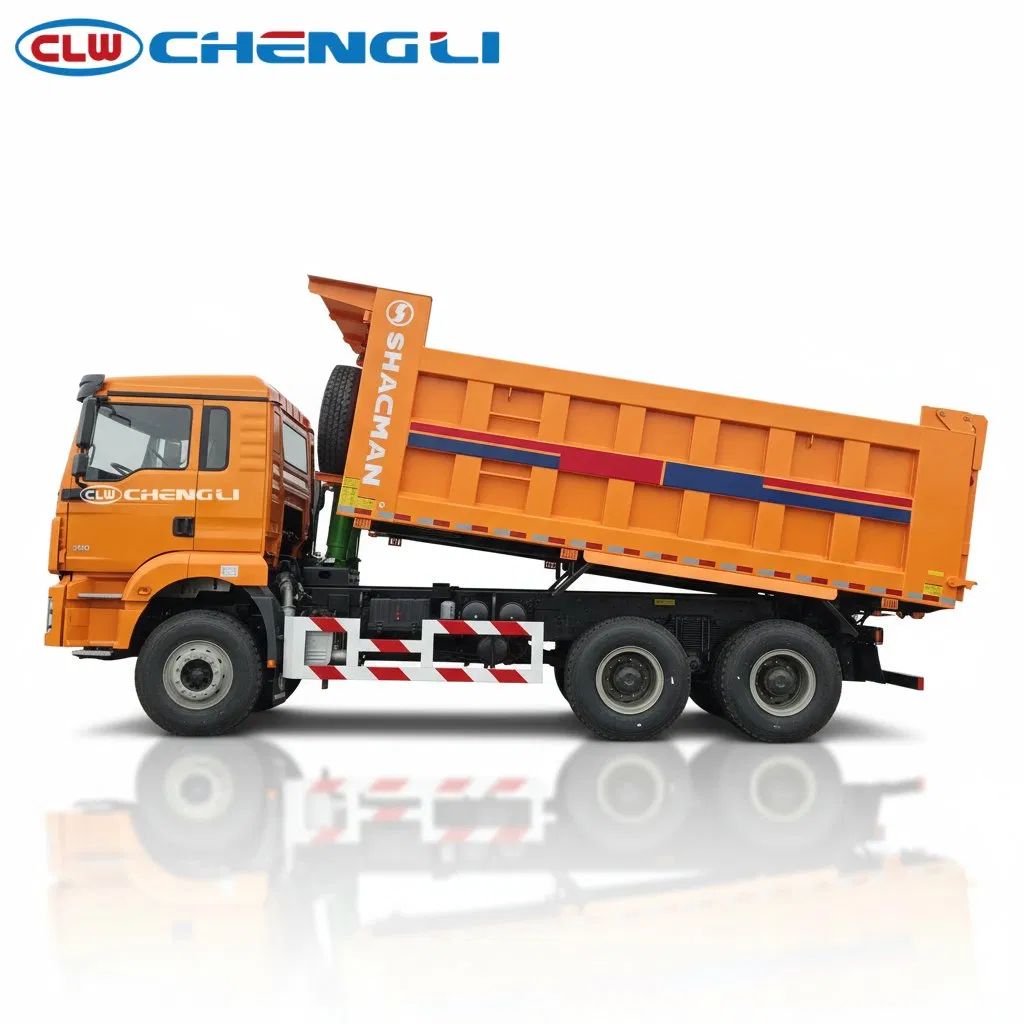 Shacman Premium 6X4 Dump Truck Construction Reinforced Frame Beam Superior Cargo Camion pictures & photos