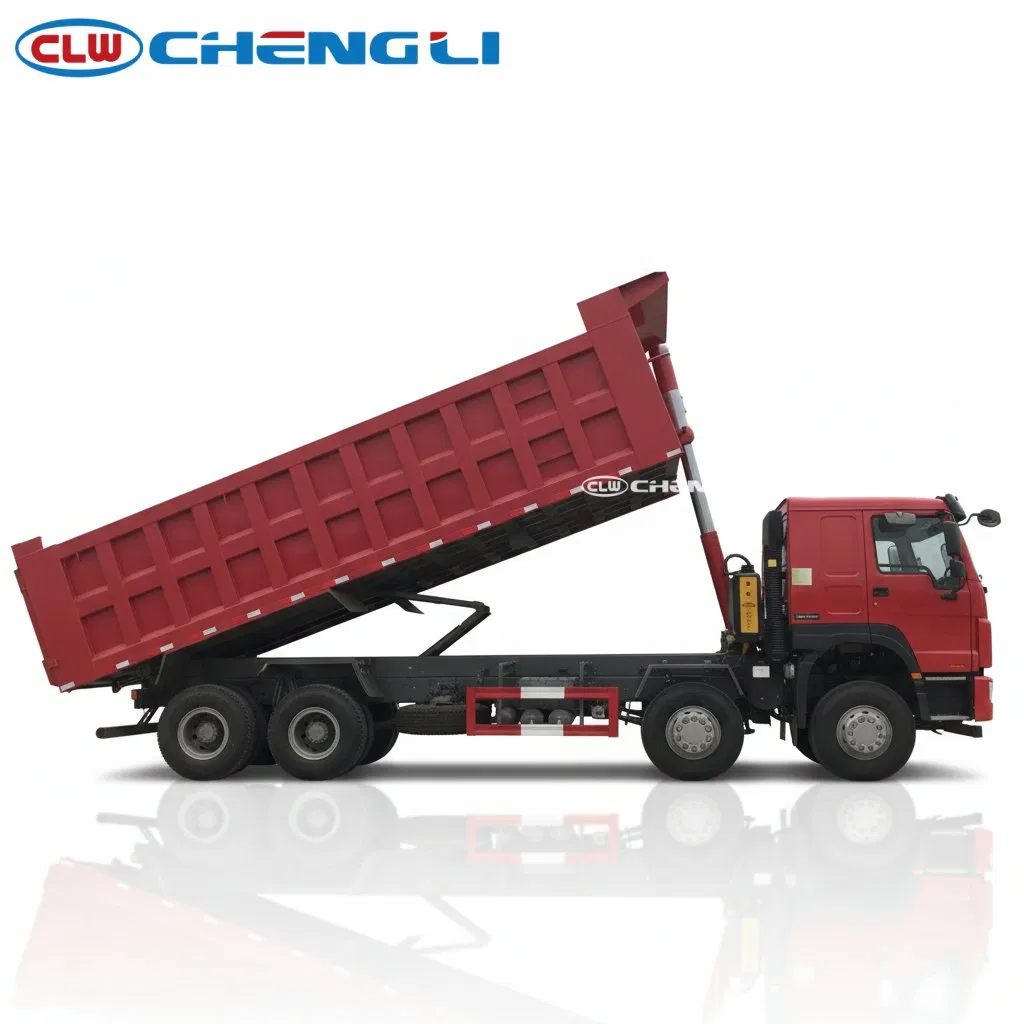 Heavy-Duty 50 Tons HOWO 8X4 Specialized Field Work Dump Truck 12 Wheeler Cargo Camion pictures & photos