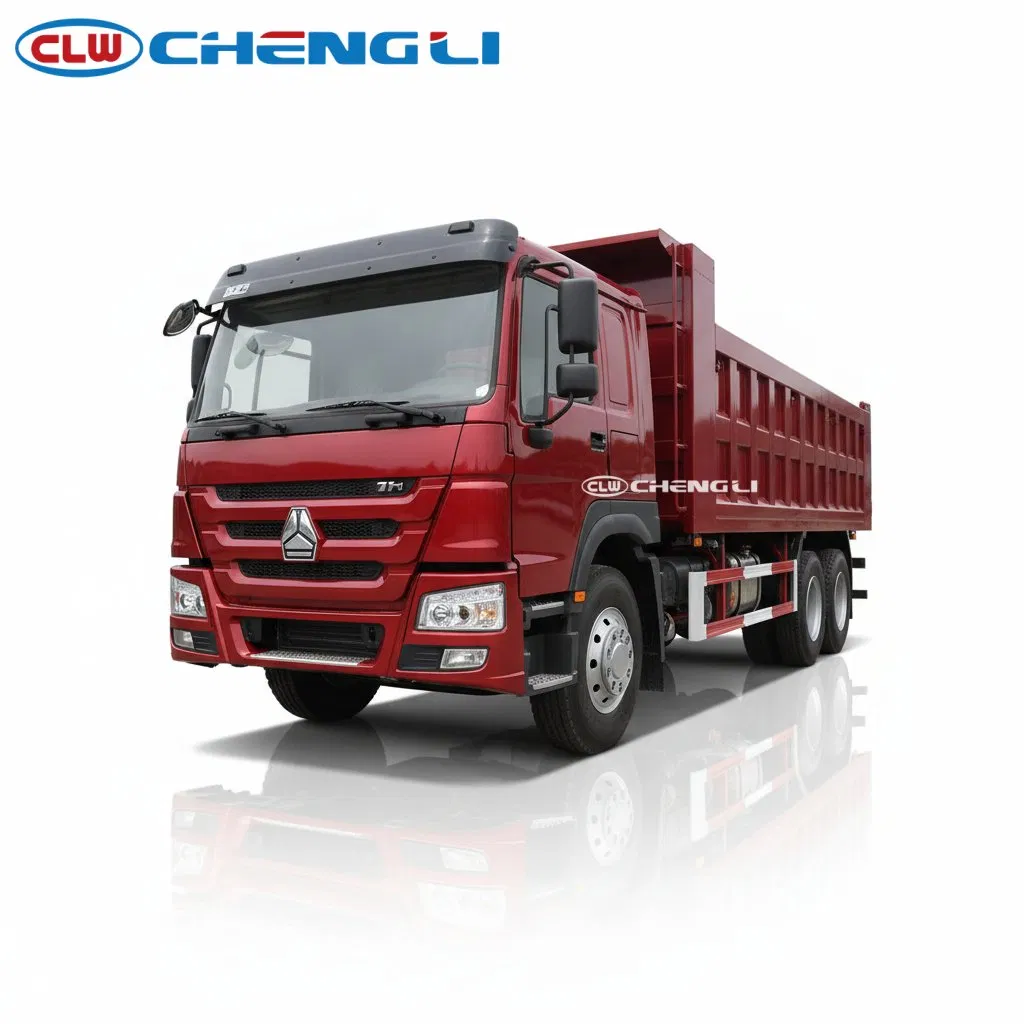 Heavy-Duty 50 Tons HOWO 8X4 Specialized Field Work Dump Truck 12 Wheeler Cargo Camion pictures & photos